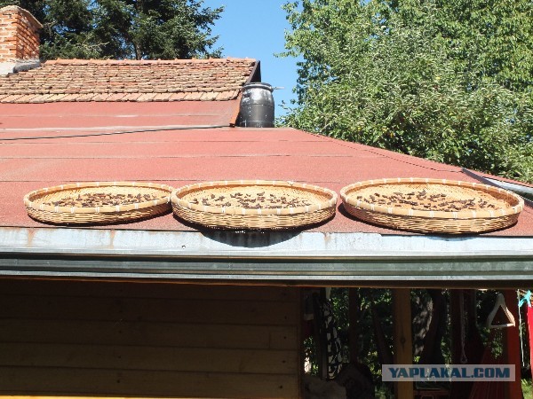 О заморозке продуктов