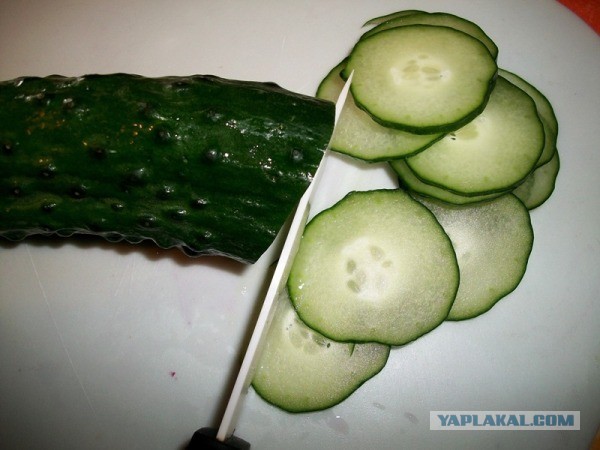 «Ишь грудь выпячила, бёдрами виляет, - Курица!», совместный пост  - Frau Marta и Mitsv