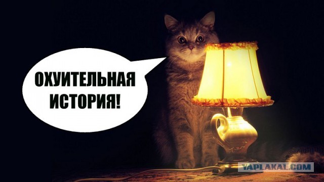 Муж уехал работать на вахту, а вернулся с сыном и двумя любовницами