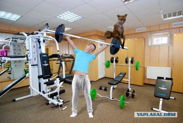 Фотожаба: Обработайте фото