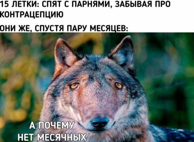 Всего понемногу. От 17.04.24.