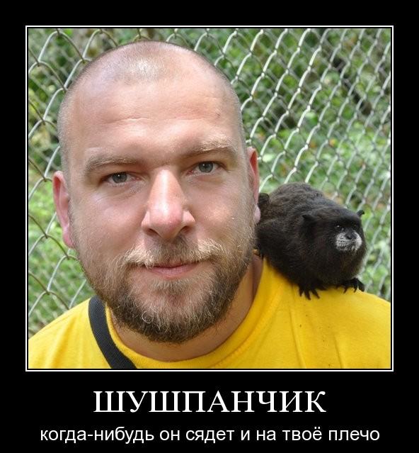 Знакомьтесь - капибары