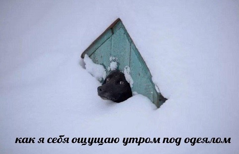 Быстрая деградация