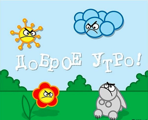 Так себе картинки 16.01.25