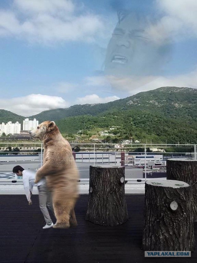 Смешные работы фотошоперов из социальных сетей