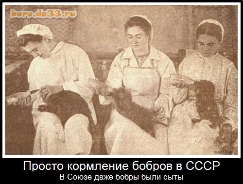 Прикольные и просто красивые картинки 18.09.2026