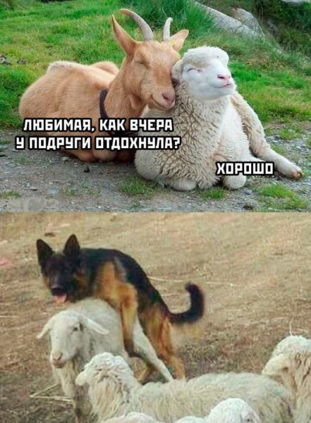Капля юмора дальше...