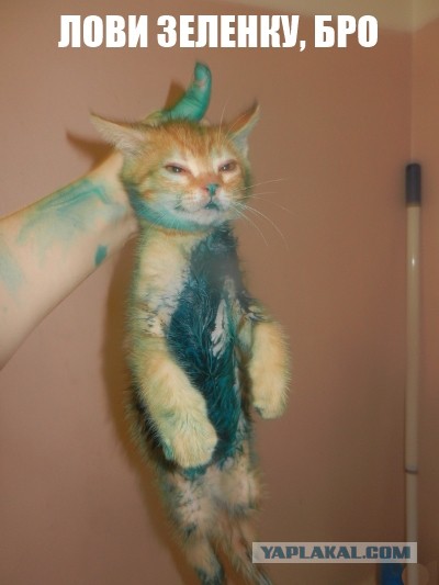 Летний лагерь