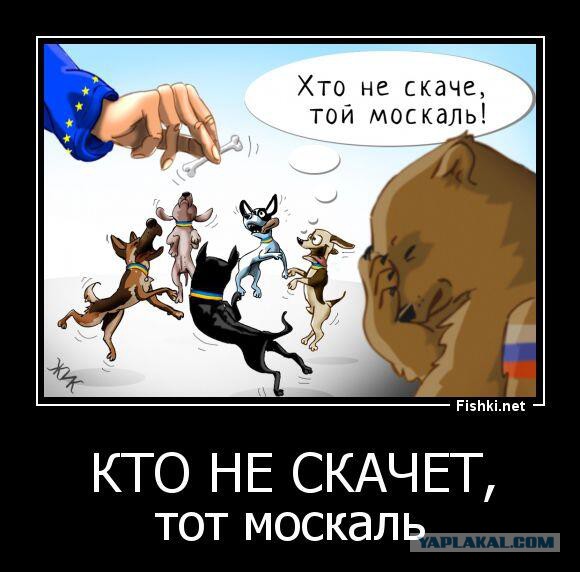 Харьков. Не скачут ...