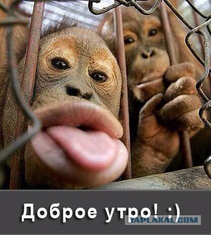 Не, ну как?