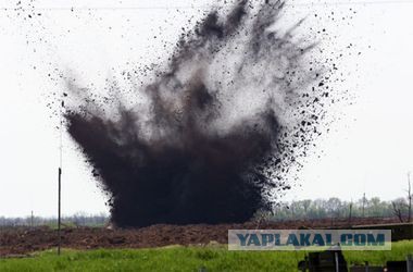 Нашли в лесу гравицапу