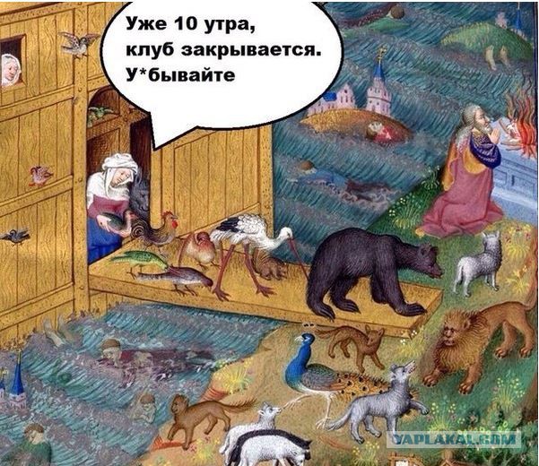 Картинки из этих ваших интернетов
