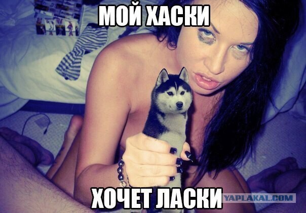 Голубоглазое счастье