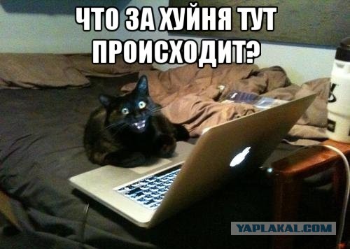 Вот как дети передают приветы
