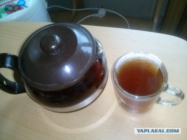 Как производят чай в Абхазии
