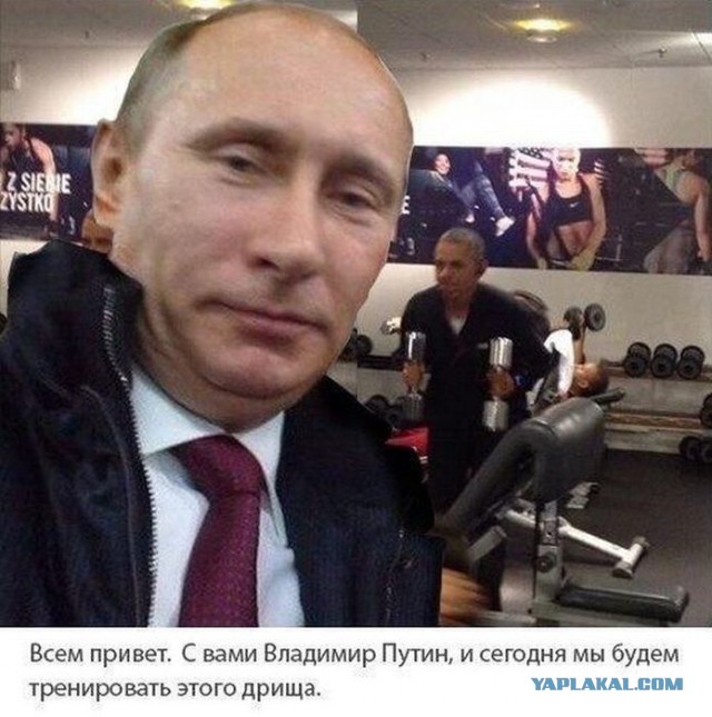 Солянка политическая #6