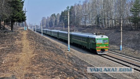 Чем занимаются москвичи в пробках...