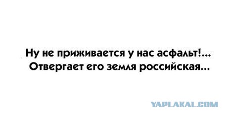 Картинки из интернета
