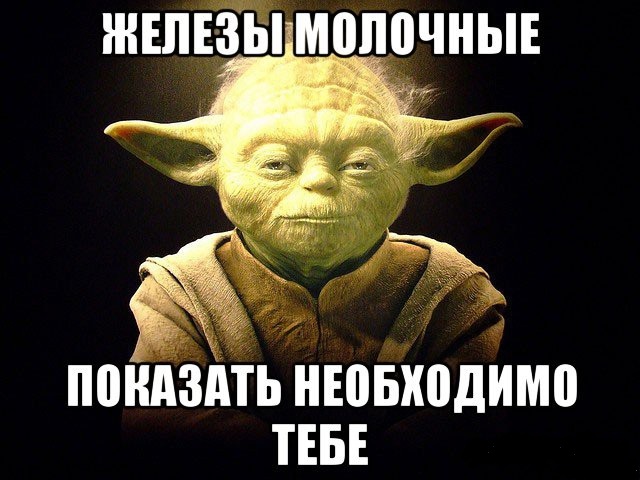 Картинки и приколы из соц.сетей и интернета