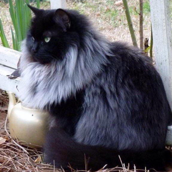 Подборка картинок 17.02.16