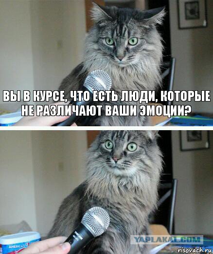 Вот Вам юмор