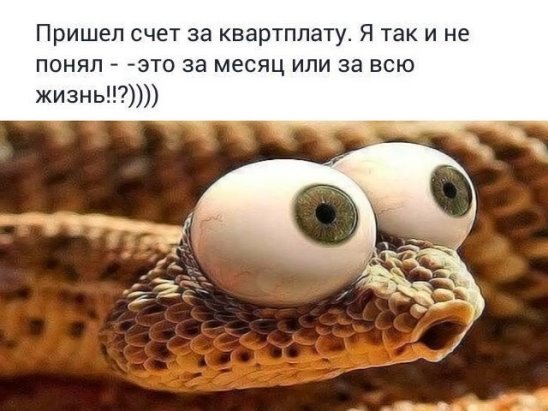 Четверговая солянка