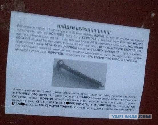 Подборка любопытных фотографий со всего света
