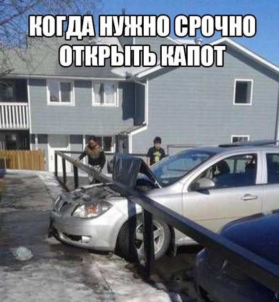 Немного картинок