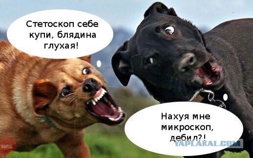 Весёлые картинки