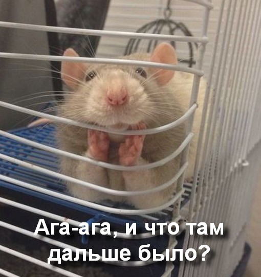 Фамилия моя слишком известная