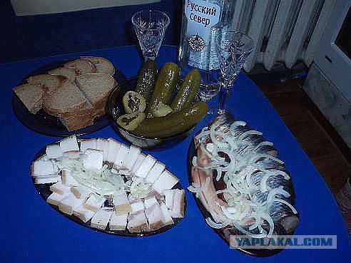 Интересные факты о селедке