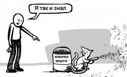 Зачем кот в доме?