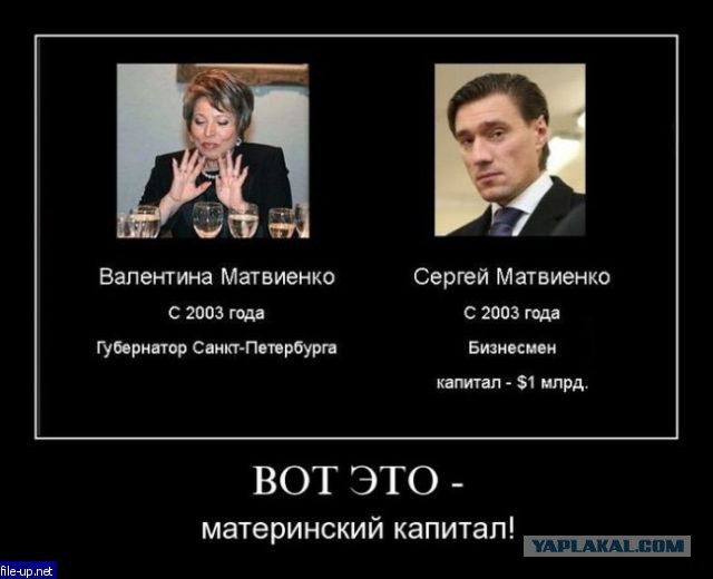 Матвиенко заявила, что поддержала бы расследование доходов Медведева