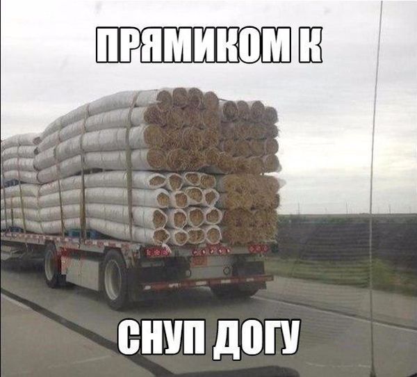 Подборка интересных и веселых картинок