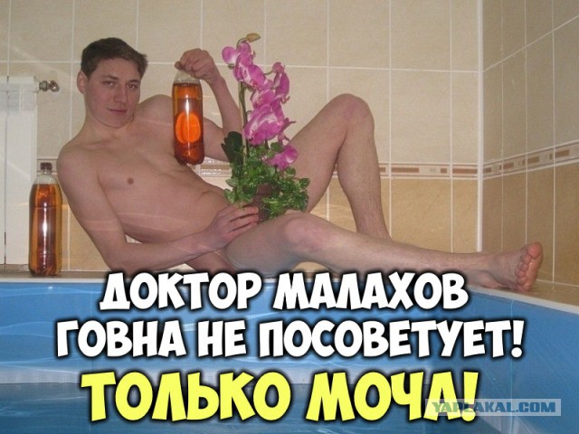 Чудики из социальных сетей
