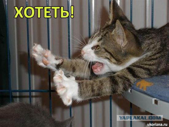 Что это было?, новая космическая программа?