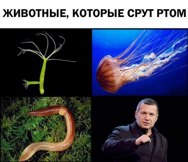 Соловьев в СОВФЕДЕ. Удивил !