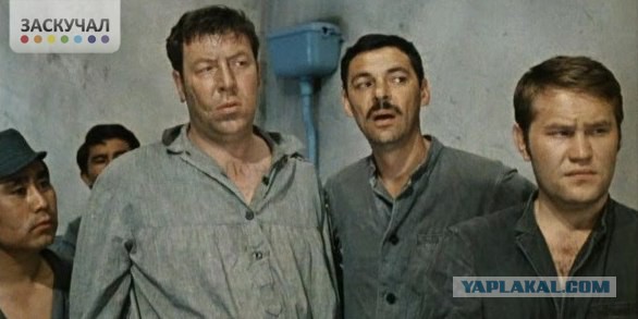 Солиста "Бутырки" облили фекалиями на концерте