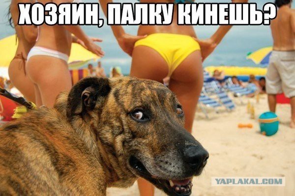 "Дед сфотографировал меня с бабушкой на море"
