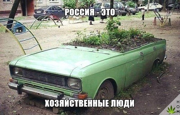 Нестандартный юмор