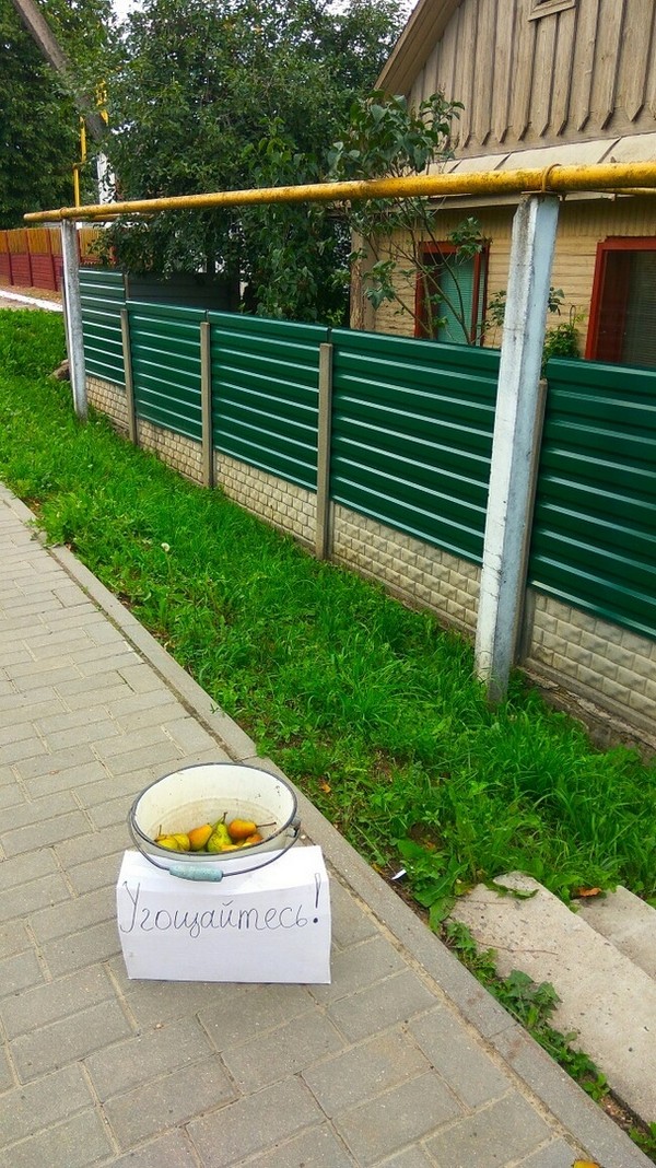 Прикольные картинки абавсём