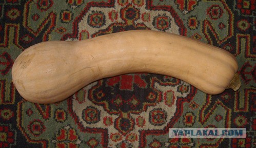 "Хьюстон, у нас проблемы!", или Зачем женщина просверлила МКС.