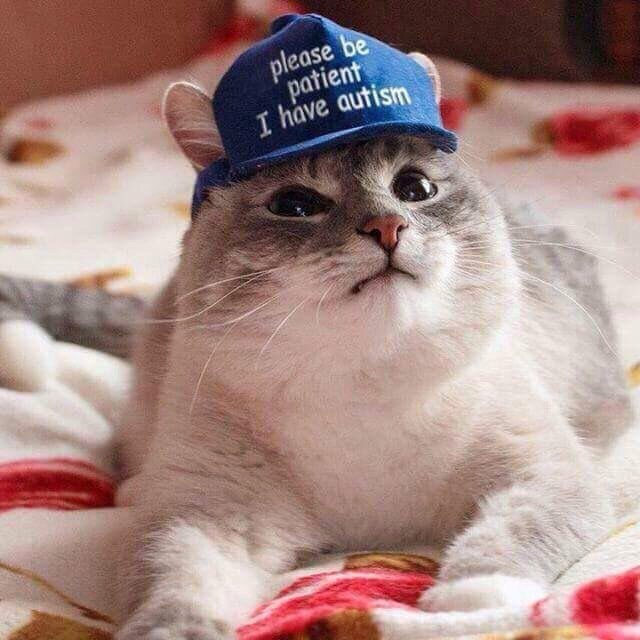 Живность из сети
