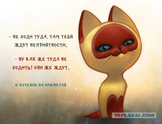 Кто?! Кто посмел обидеть маленького?!