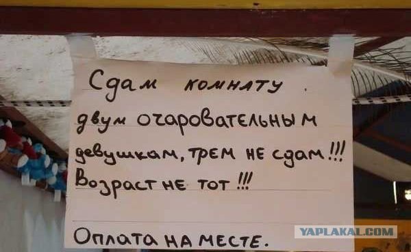 Предприимчивый болельщик