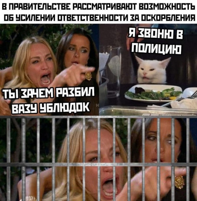 Немного картинок для настроения 11.02.20