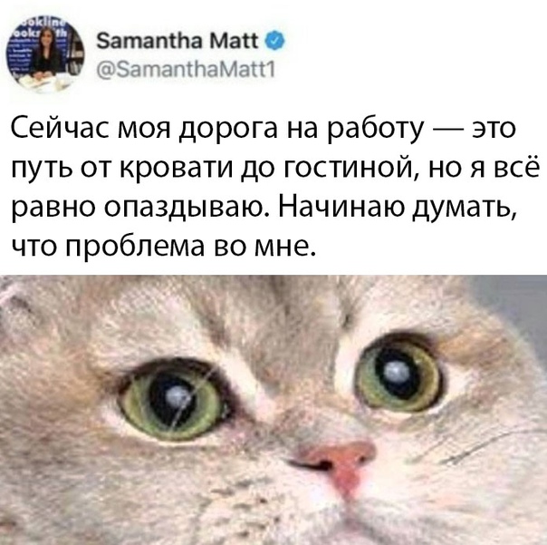 Немного картинок для настроения 20.05.20