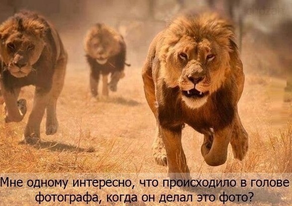 Чуток картинок 29.05.20