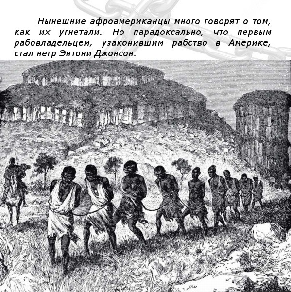 Вот бы эта фотка завирусилась, я бы почитал срач