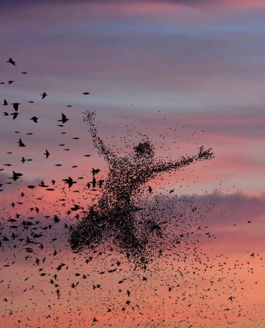 Crazy Art